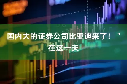 国内大的证券公司比亚迪来了！＂在这一天