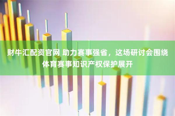 财牛汇配资官网 助力赛事强省，这场研讨会围绕体育赛事知识产权保护展开
